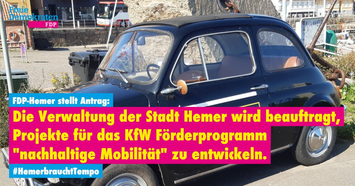 FDP Hemer