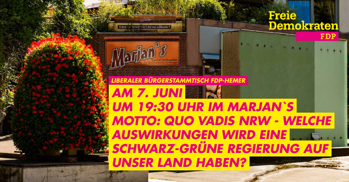 FDP Hemer
