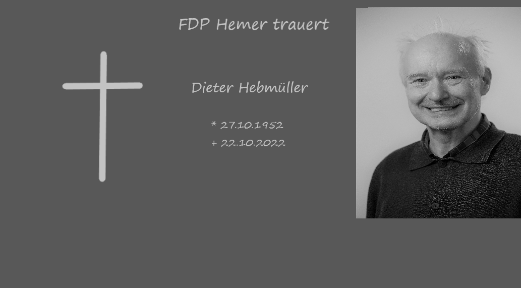 FDP Hemer