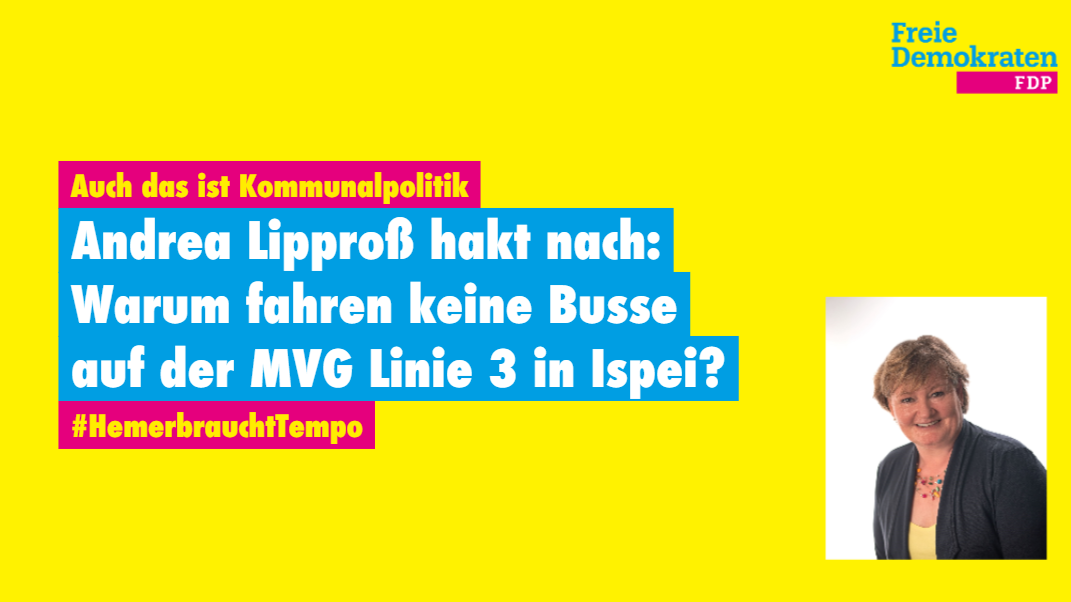 FDP Hemer