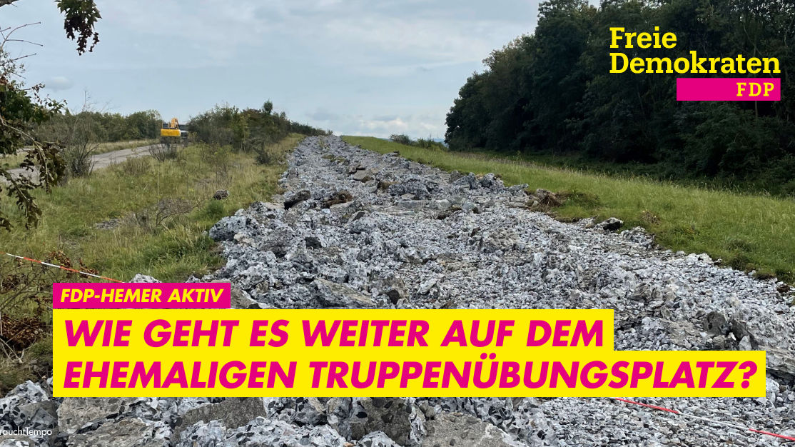 FDP Hemer