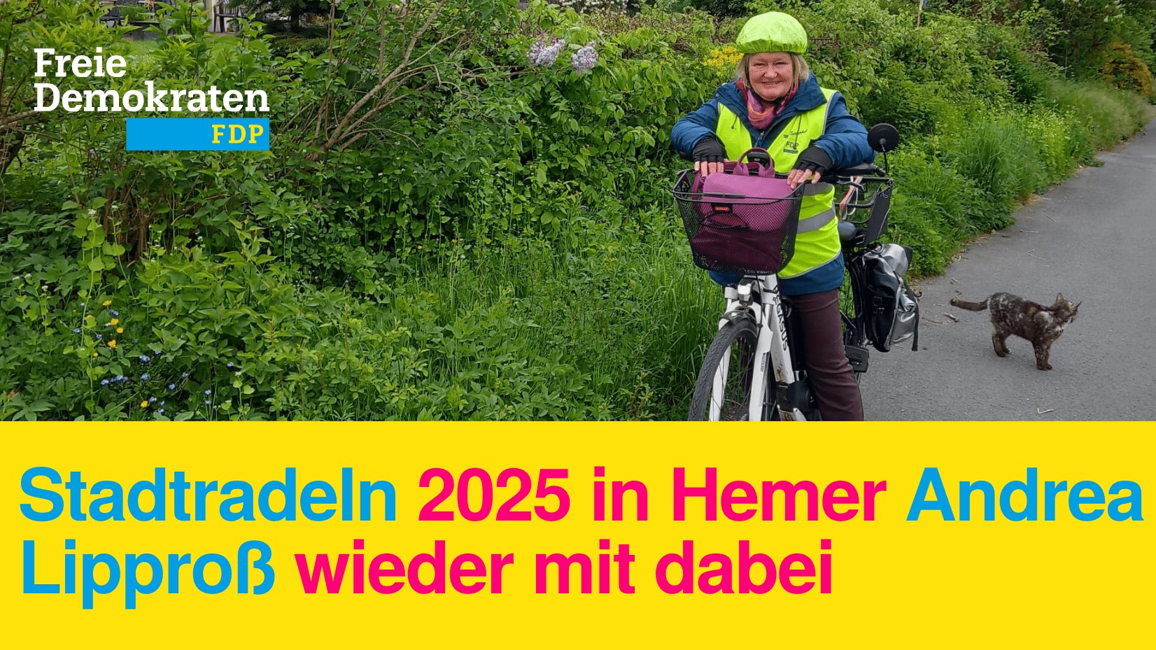 FDP Hemer