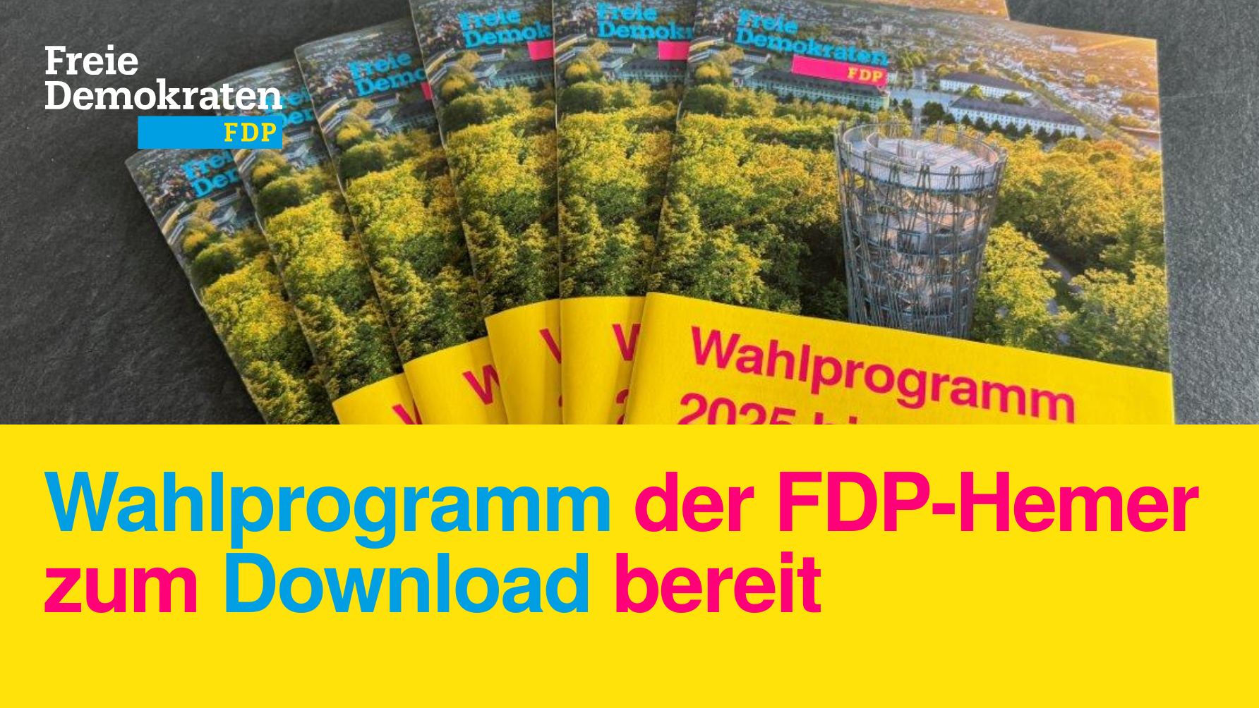 FDP Hemer