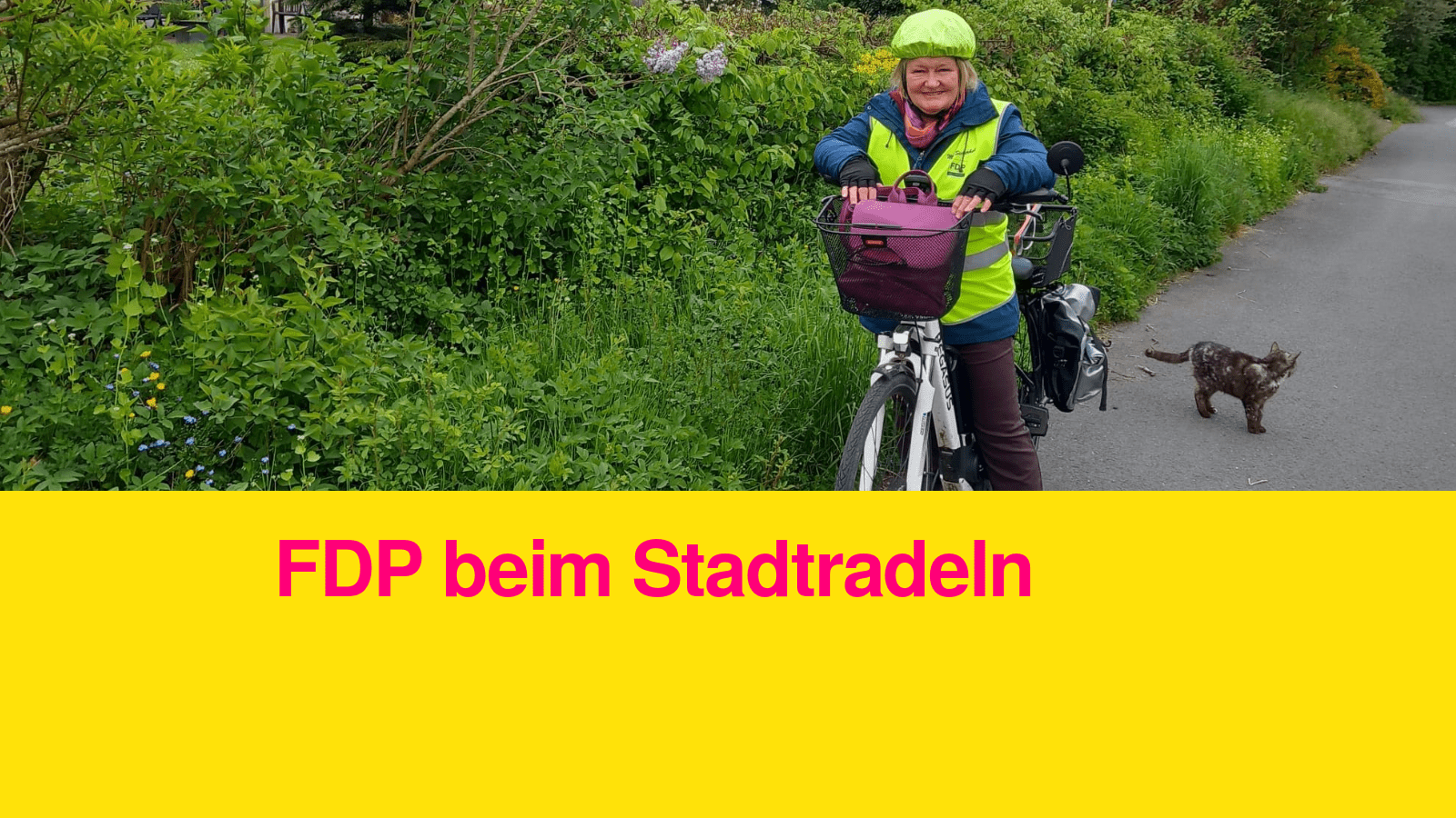 FDP