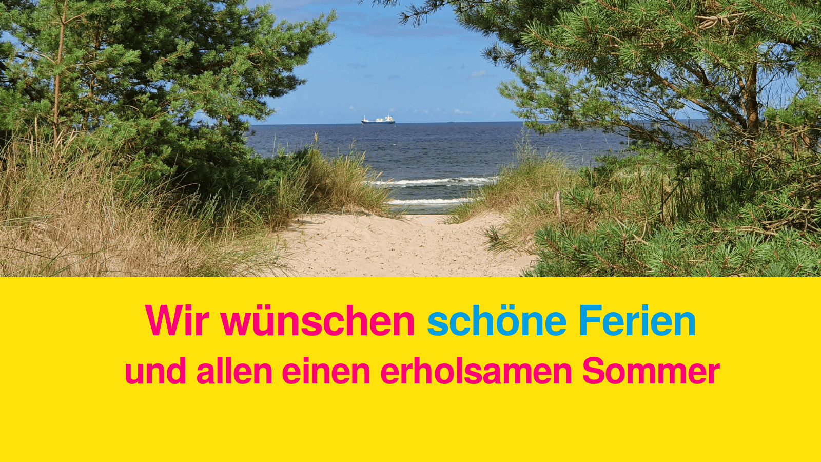 FDP Hemer