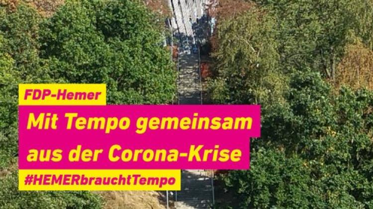 FDP Hemer