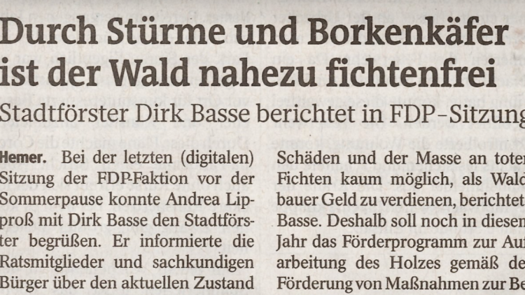 FDP Hemer