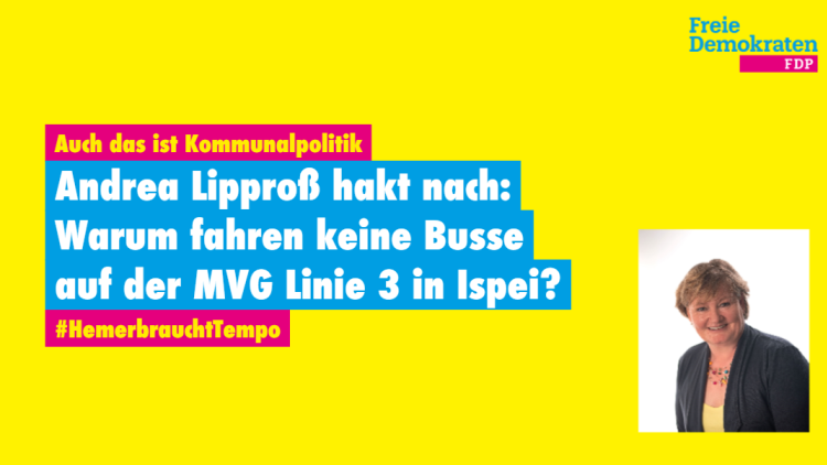 FDP Hemer