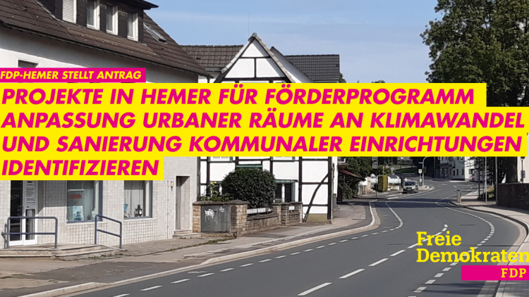 FDP Hemer