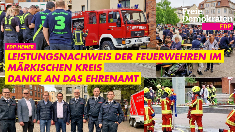 FDP Hemer