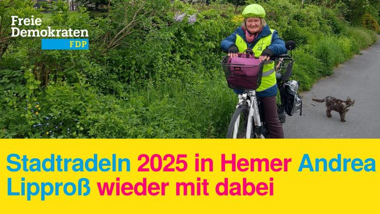 FDP Hemer