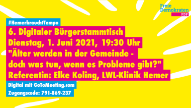 Digitaler Bürgerstammtisch der FDP Hemer