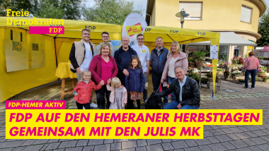 FDP Hemer