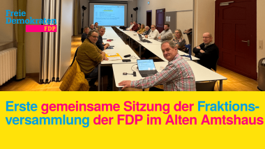 FDP Hemer